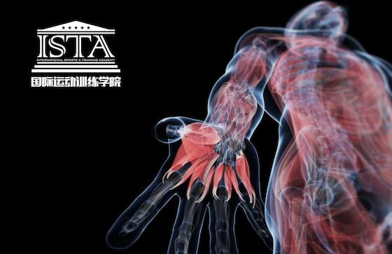 ISTA零基础教练培训更新版来了